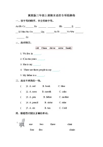 【期末语法】冀教版（三起）-三年级上册英语期末专项训练（含答案）