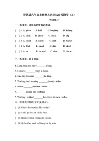 【期末综合检测】译林版（三起）六年级上册英语-期末达标综合检测卷（D）（含答案）