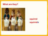 川教版三起 五下Unit1 Lesson 2 Talking about Squirrels课件