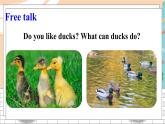 冀教6英下 Reading For Fun The Ugly Duckling PPT課件
