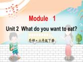 外研6英下 Module 1 Unit 2 PPT课件+教案