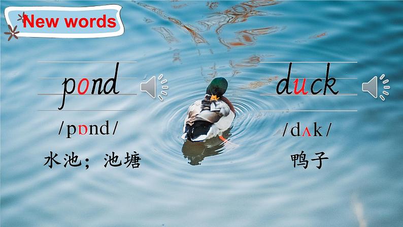 外研6英下 Module 2 Unit 1 PPT课件+教案08