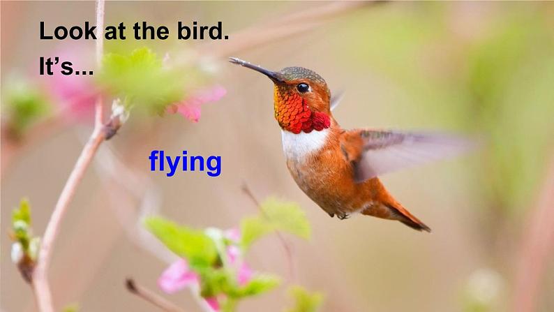 外研6英下 Module 3 Unit 1 PPT课件+教案02