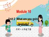 外研6英下 Module 10 Unit 2 PPT课件+教案