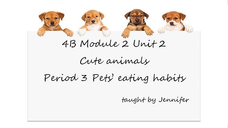 四年级下册英语课件Module 2   Unit 2 Cute animals  Period 3牛津上海版（试用本）第2页