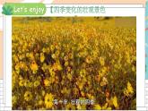 湘少4英下 Unit 2 第三課時(shí)（Part E, Part F, Part G) PPT課件+教案