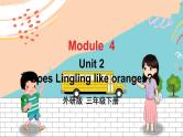 外3英下 Module 4 Unit 2 PPT课件+教案