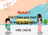 外3英下 Module 5 Unit 2 PPT课件+教案