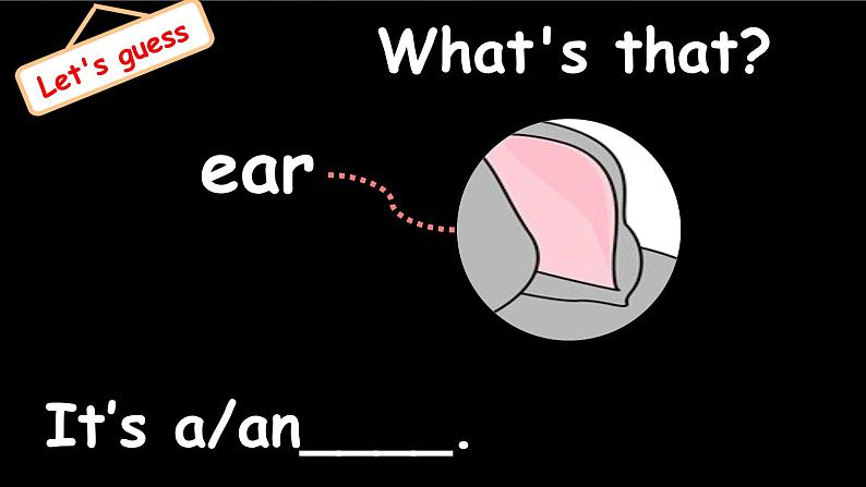 Unit3 At the zoo B let's talk 课件+教案+同步练习07