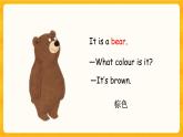Module 1 Unit 1 What can you see  第一课时 （课件+素材+练习）英语二年级下册