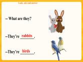 Module 2 Unit 3 Animals I like第一课时（课件+素材+练习）英语二年级下册