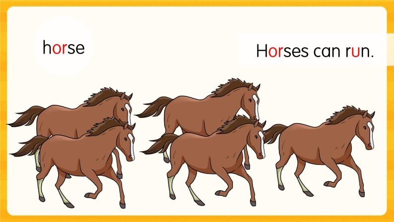 Unit 1 Lesson 4 Horses and Rabbits课件+素材04