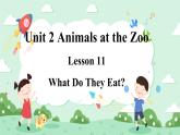 Lesson 11 What Do They Eat课件+素材