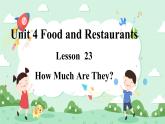 Lesson 23 How Much Are They课件+素材