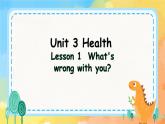 Unit 3 Health Lesson 1(课件) 鲁科版