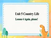Unit 5 Country Life lesson  4(课件) 鲁科版