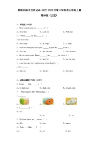 期末高频考点测试卷-2022-2023学年小学英语五年级上册+译林版（三起）（有答案）