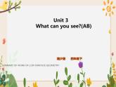 Unit 3 What can you see课件
