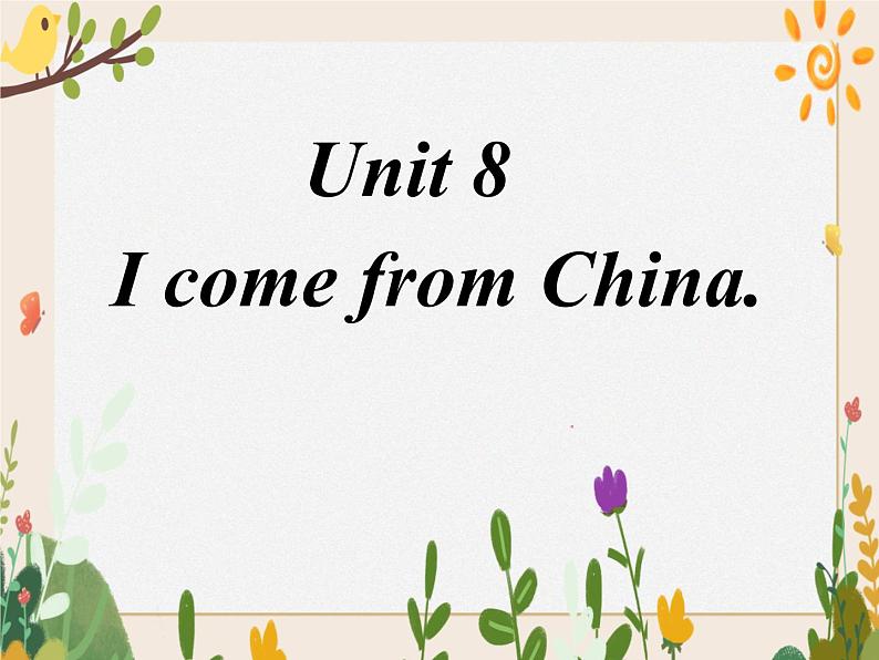 Unit 8 I come from China课件01