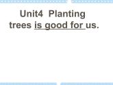 Unit 4 Planting trees is good for us 课件