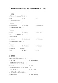 期末易错点检测卷-小学英语三年级上册译林版（三起）