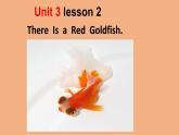 川教版三起 四下Unit 3-2 Lesson 2 There Is a Red Goldfish.课件
