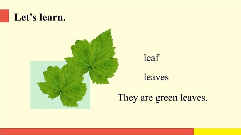 Module 4 Unit10 (第1课时)（课件）牛津上海版（三起）英语四年级下册第5页