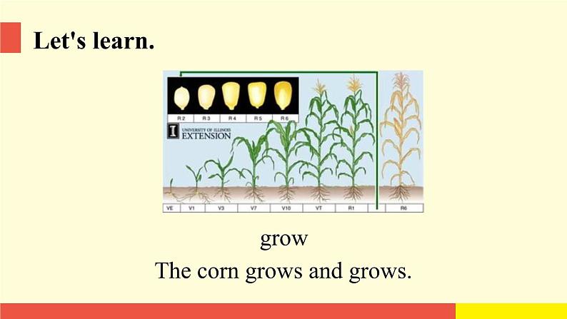 Module 4 Unit10 (第1课时)（课件）牛津上海版（三起）英语四年级下册第8页