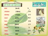 新概念英语青少版入门 B_Unit_6（共12页）课件PPT