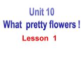 新概念英语青少版入门 B_Unit_10（共43页）课件PPT