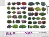 新概念英语青少版入门 B_Unit_12（共15页）课件PPT