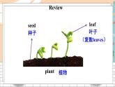 滬教牛津4英下 Module 4 Project 4 PPT課件