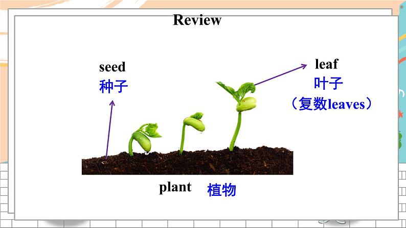 Project 4第2页