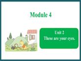 Module 4 Unit 2（课件）外研版（一起）英语一年级下册