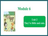Module 6 Unit 2（课件）外研版（一起）英语一年级下册