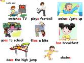 Did you know & Self-assessment課件