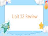 Unit 12  Review复习巩固课件