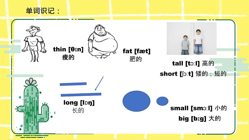 人教版（PEP）三年级下册Unit 3 At the zoo知识点复习课件第2页