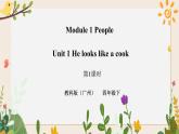 Module 1 People Unit 1 He looks like a cook（ 第1课时 ）课件+教案+习题（含答案）+素材