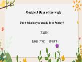 Module 3 Days of the week Unit 6 What do you usually do on Sunday （ 第3课时 ）课件+教案+习题（含答案）+素材