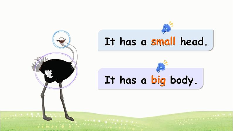 Unit 3 At the zoo Part B Let's learn课件+素材06