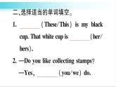 人教版（PEP）英語六年級(jí)下冊(cè) 第五講　代詞 習(xí)題課件