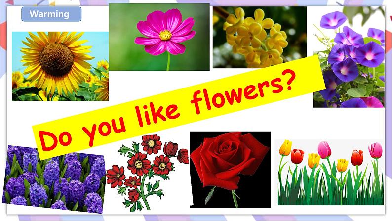 Unit 10 My garden 第一课时 课件+教案+习题02