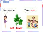 Unit 10 My garden 第二課時 課件+教案+習(xí)題