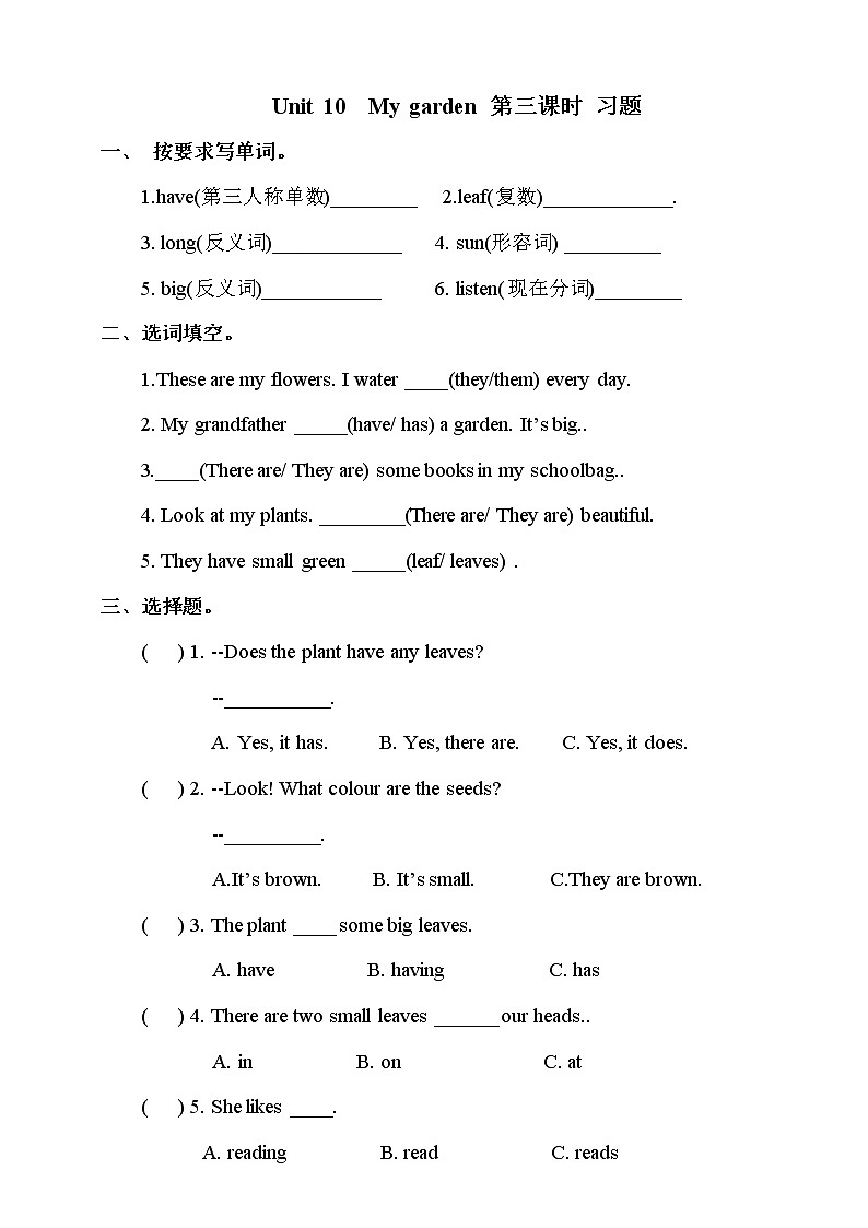 Unit 10 My garden 第三课时 课件+教案+习题01