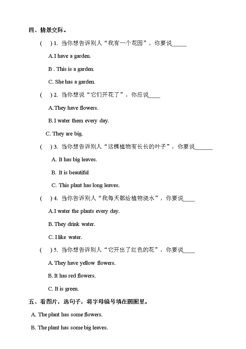 Unit 10 My garden 第三课时 课件+教案+习题02