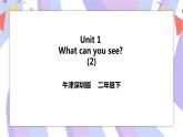 Unit 1 What can you see 第二课时 课件+教案+习题