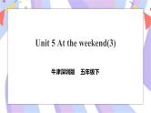 Unit 5 At the weekend 第三课时 课件+教案+练习