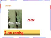 Unit 2 Life in the Arctic 第二課時(Part4a,4b,5a,5b) 課件+教案+習題
