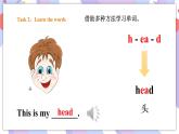 Module 4 Unit 1 This is my head 课件+教案+习题